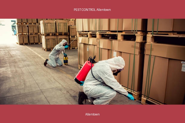 PEST CONTROL Allentown